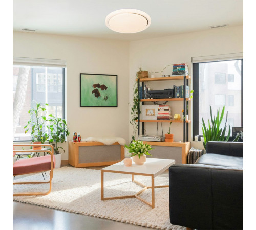 Потолочный светильник Escada Ophira 10227/SG LED APP