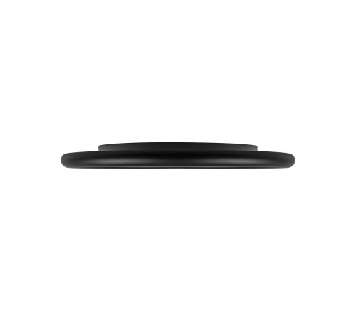 Потолочный светильник  LOFT IT Sweety 10454/400 Black