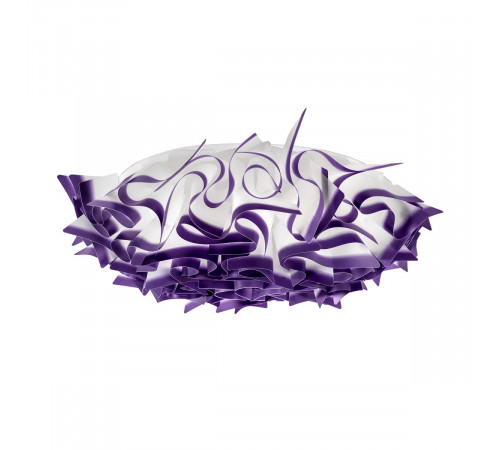 Потолочный светильник Loft IT Clizia 10593/780C Purple