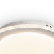 Потолочный светильник Freya Galla FR6243CL-L106W