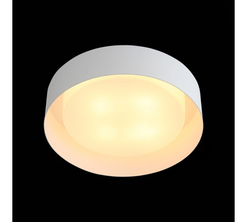 Потолочный светильник ST Luce Chio SL392.502.04