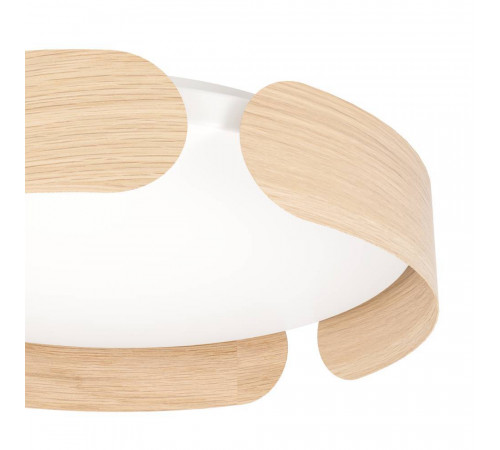 Настенно-потолочный Eglo Valcasotto 901827