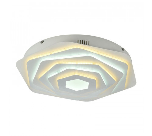 Потолочный светодиодный светильник F-Promo Ledolution 2289-5C