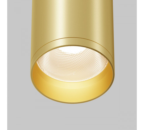 Потолочный светильник Maytoni Technical Focus C010CL-01MG-N