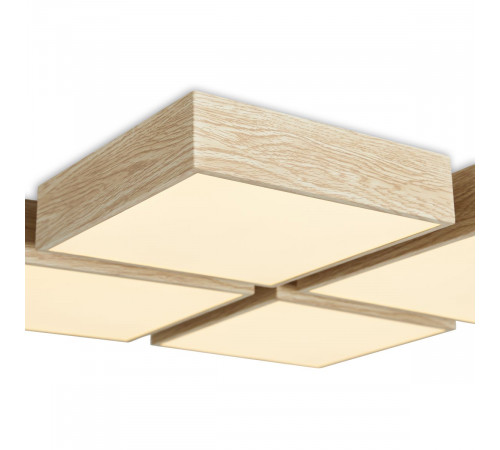 Потолочный светильник Freya Cubba FR5450CL-L120BG