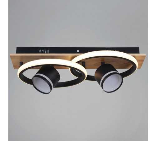 Потолочный светильник Reluce 29560-0.3-2+2 BK+WOOD