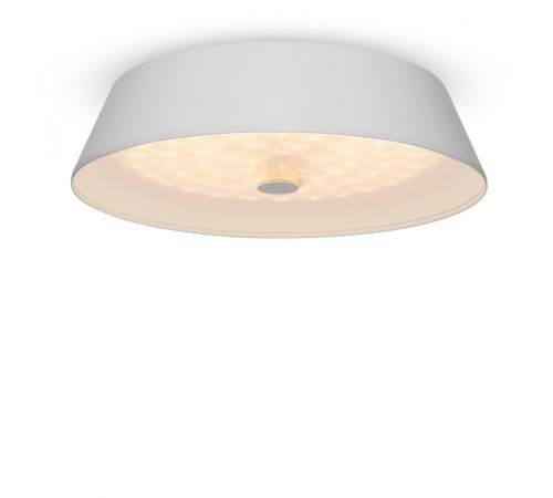 Потолочный светильник Freya Cells FR10013CL-L24W