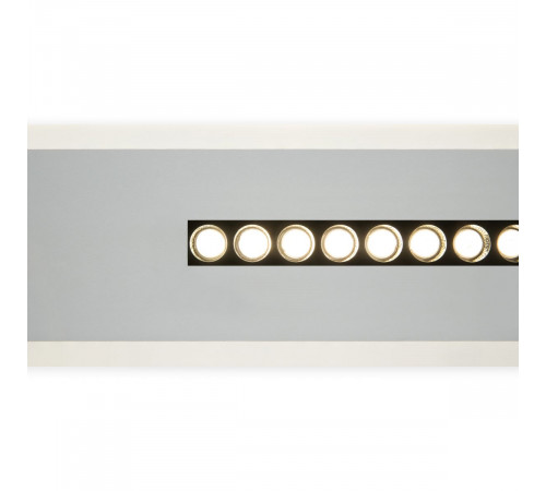 Потолочный светильник Freya Shine FR6105CL-L40W