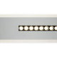 Потолочный светильник Freya Shine FR6105CL-L40W