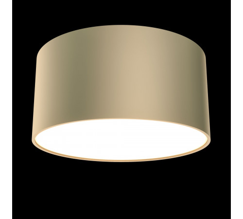 Потолочный светильник Maytoni Technical Zon C032CL-L12MG4K