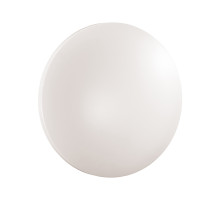 Потолочный светильник Sonex Pale Simple 3017/DLN