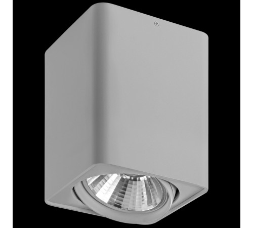 Потолочный светильник Lightstar Monocco 212639 Потолочный светильник Lightstar Monocco 212639