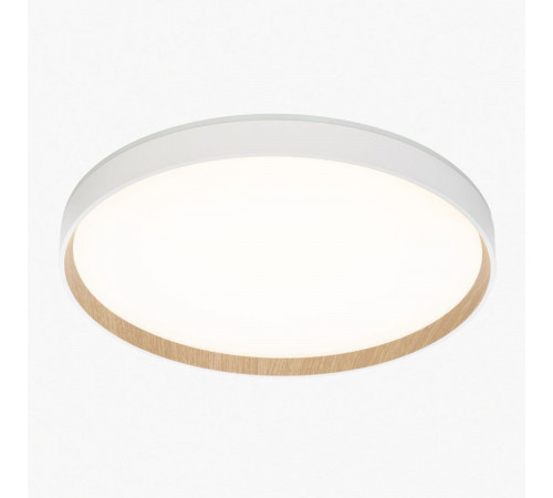 Потолочный светильник Citilux Etalon CL750400R