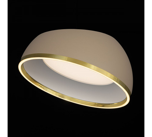 Потолочный светильник Citilux Floom CL736152