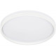 Потолочный светильник Эра SPB-6 Opal 86W-3K-6,5K-RC WH с ДУ Б0070181