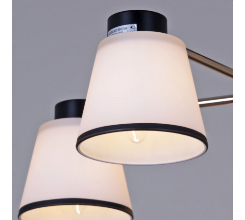 Люстра на штанге Reluce 30560-0.3-05 BK+FG