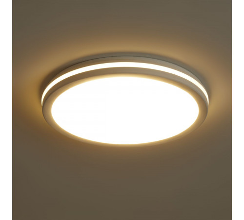 Потолочный светильник Freya Rua FR6160CL-L40W