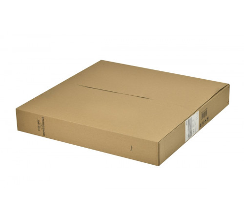 Потолочный светильник Freya Freya Orbit FR5421CL-L80BR