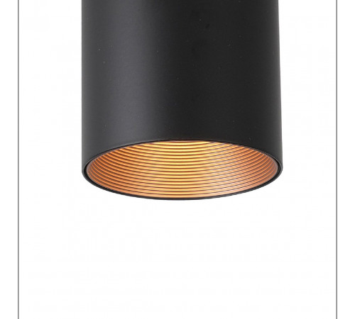 Потолочный светодиодный светильник Favourite Drum 2250-1U