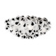 Потолочный светильник Loft IT Clizia 10595/780C Black
