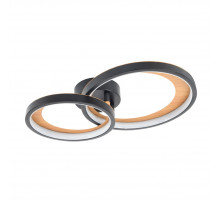 Потолочный светильник Escada Callisto 10265/2LED