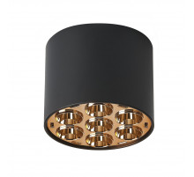 Потолочный светильник Lightstar Guarda 080642