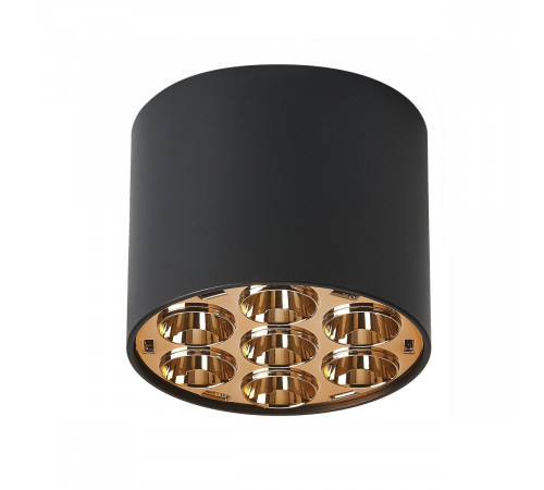 Потолочный светильник Lightstar Guarda 080642