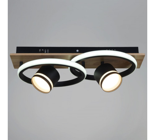 Потолочный светильник Reluce 29560-0.3-2+2 BK+WOOD