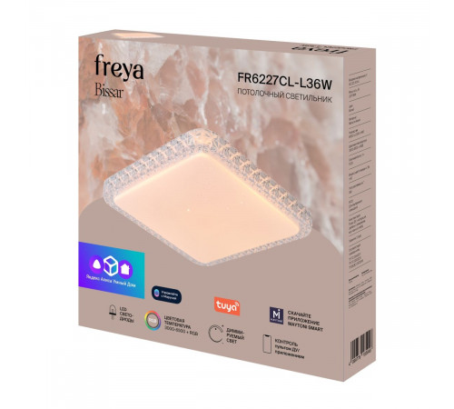 Потолочный светильник Freya Bissar FR6227CL-L36W
