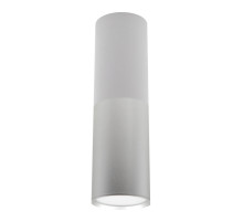 Потолочный светильник 20007 20007SMU/02LED SWH/CH