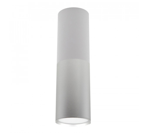Потолочный светильник 20007 20007SMU/02LED SWH/CH Потолочный светильник 20007 20007SMU/02LED SWH/CH