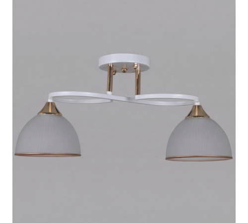 Потолочный светильник Reluce 68560-0.3-02 WH+FG