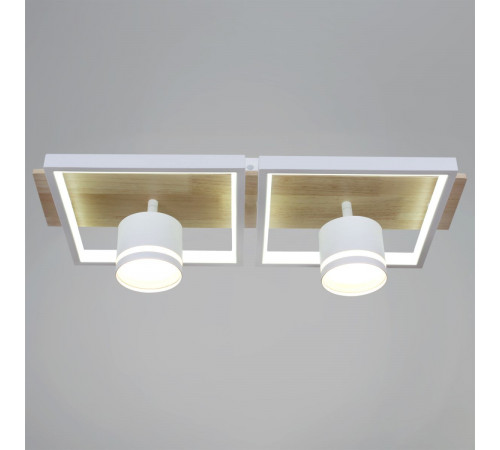 Потолочный светильник Reluce 19560-0.3-2+2 WH+WOOD