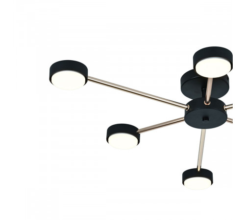 Потолочный светильник Escada Luminix 120008/6R Black/Gold ES0000094