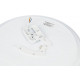 Потолочный светильник Эра SPB-6 Opal 86W-3K-6,5K-RC WH с ДУ Б0070181