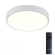 Потолочный светильник Natali Kovaltseva LED LAMPS 81111/5C