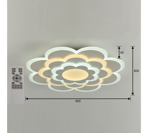 Потолочный светодиодный светильник F-Promo Ledolution 2286-8C