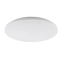 Потолочный cветильник Nowodvorski Agnes Round Led Pro White 10982
