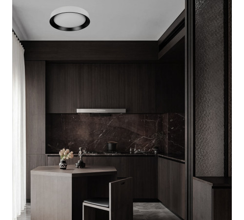 Потолочный светильник Loft IT Coin 10202 WB