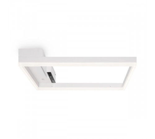 Потолочный светильник Freya Frame FR6084CL-L82W