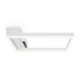 Потолочный светильник Freya Frame FR6084CL-L82W