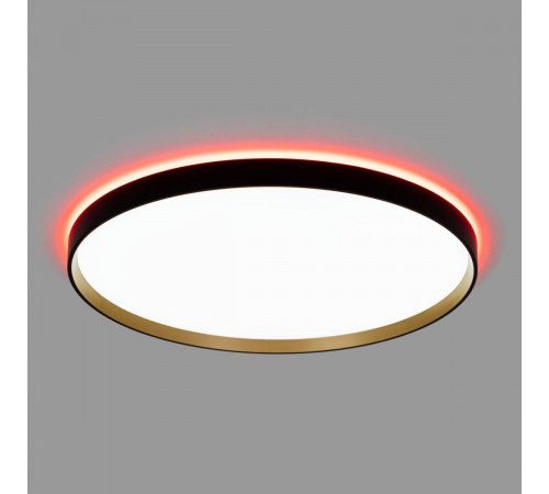 Потолочный светильник Citilux Etalon CL750501R