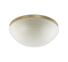 Потолочный светильник Odeon Light Malaga 4936/3C