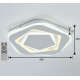 Потолочный светодиодный светильник F-Promo Ledolution 2281-5C