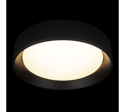 Потолочный светильник Loft IT Coin 10202 BB