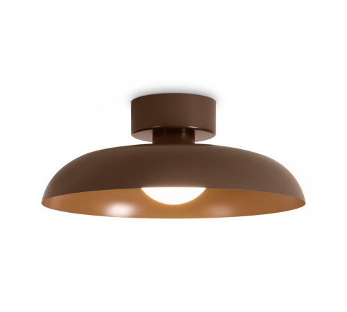 Потолочный светильник Freya Movement FR5602CL-L10BR