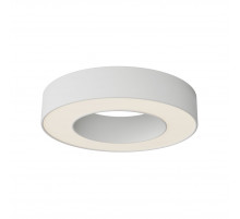Потолочный светильник Maytoni Technical Lua C093CL-24W3K-W