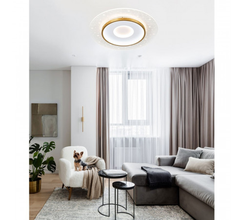 Потолочный светильник LED4U L1027-500 WH-GD Потолочный светильник LED4U L1027-500 WH-GD
