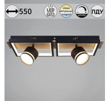 Потолочный светильник Reluce 19560-0.3-2+2 BK+WOOD