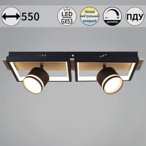 Потолочный светильник Reluce 19560-0.3-2+2 BK+WOOD